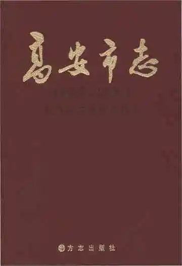 高安市志