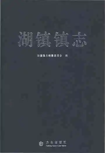 湖镇镇志