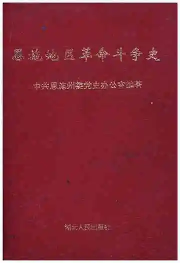 《恩施地区革命斗争史》封面