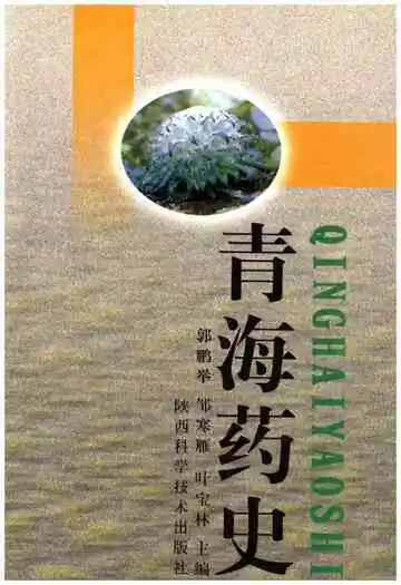 青海药史