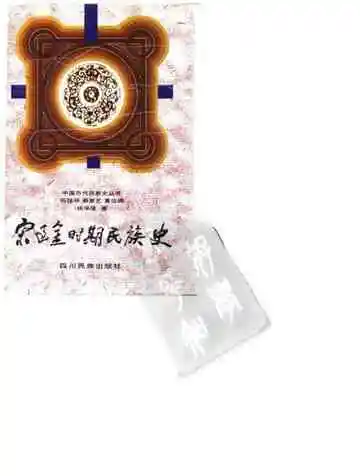宋辽金时期民族史