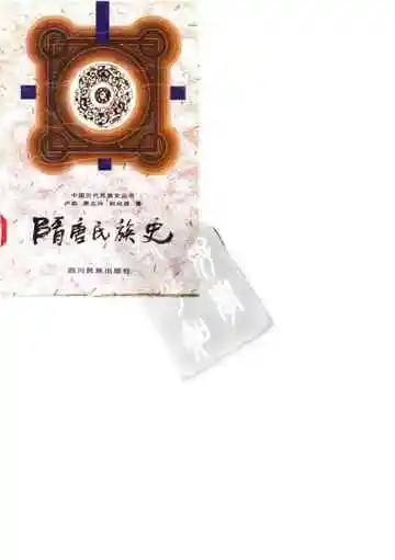 隋唐民族史