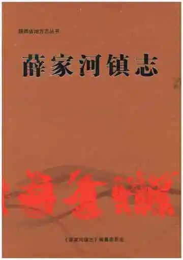 薛家河镇志