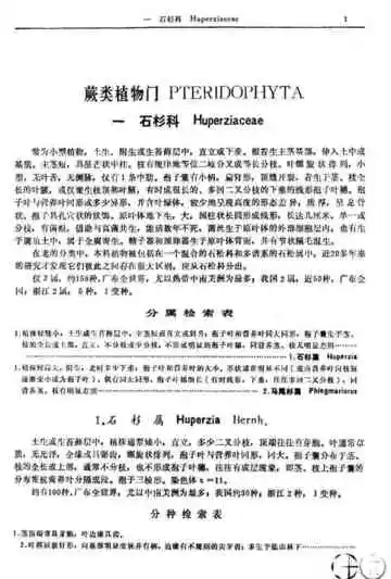 蕨类植物门第1卷