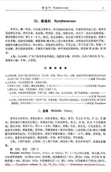 福建植物志第2卷