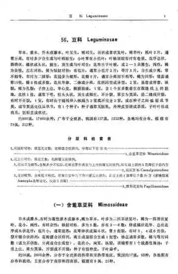 福建植物志第3卷
