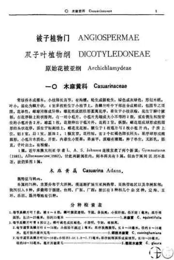 蕨类植物门第2卷
