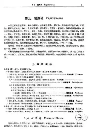 蕨类植物门第3卷