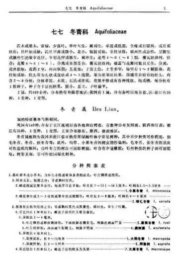 蕨类植物门第4卷