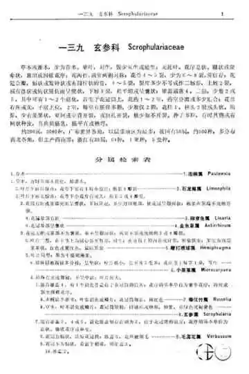 蕨类植物门第6卷