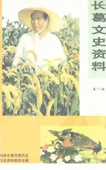 长葛文史资料第11辑