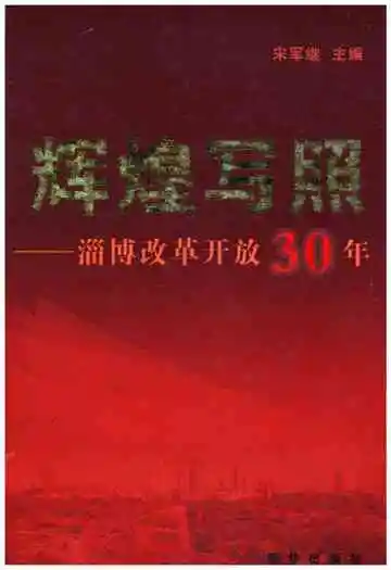 辉煌写照 淄博改革开放30年