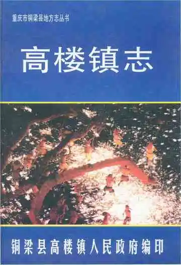 高楼镇志