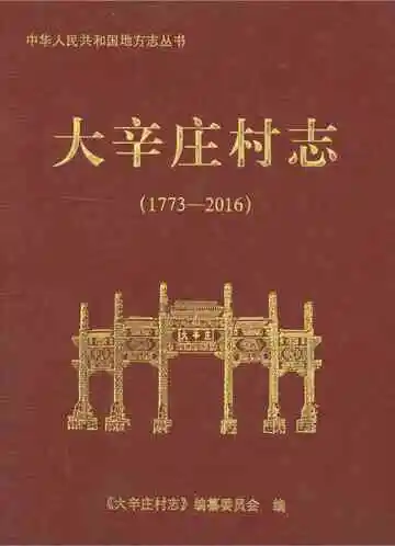大辛庄村志