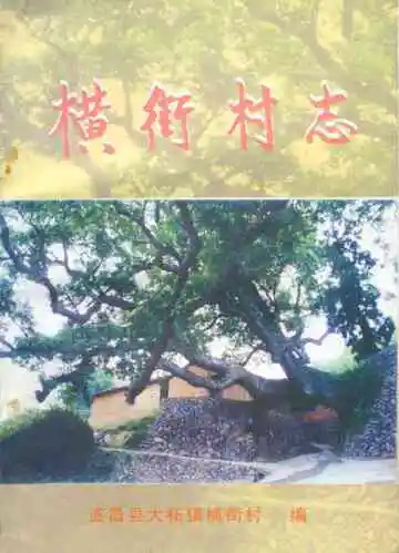 横街村志