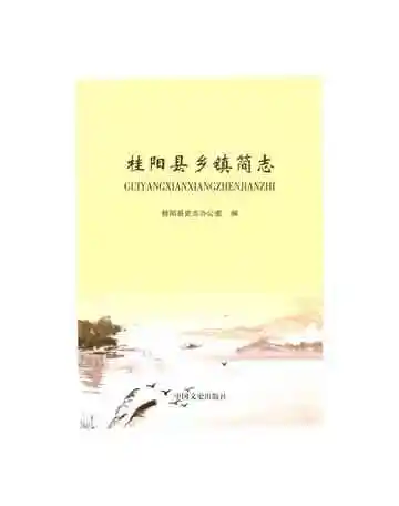 桂阳县乡镇简志