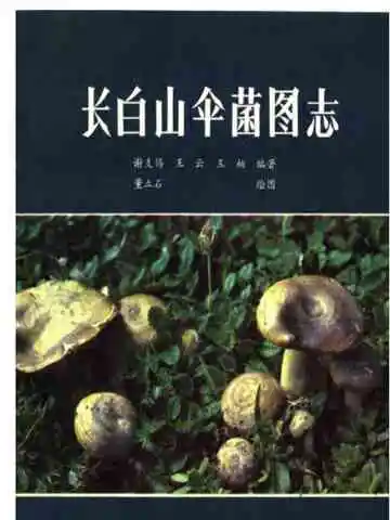长白山伞菌图志