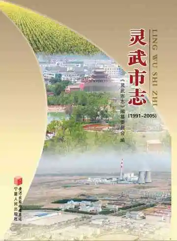 《灵武市志（1991-2005）》封面