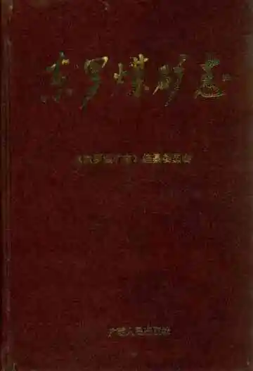 东罗煤矿志