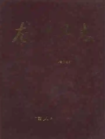 龙州县志