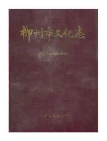 柳州市文化志