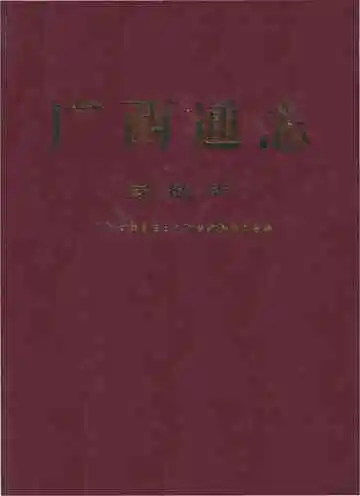 广西通志·民航志