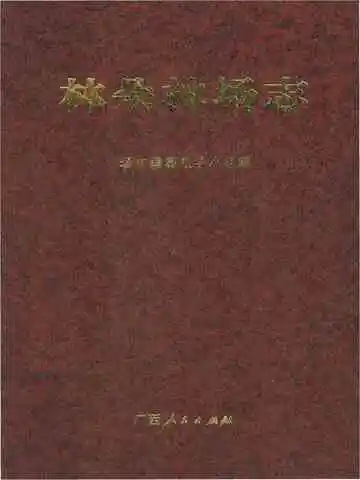 林朵林场志