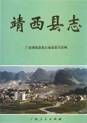 靖西县志