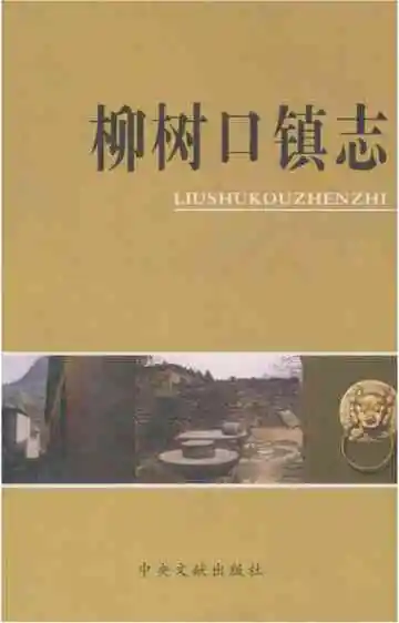 柳树口镇志