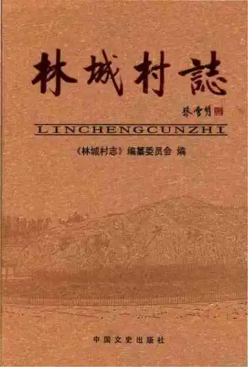 林城村志