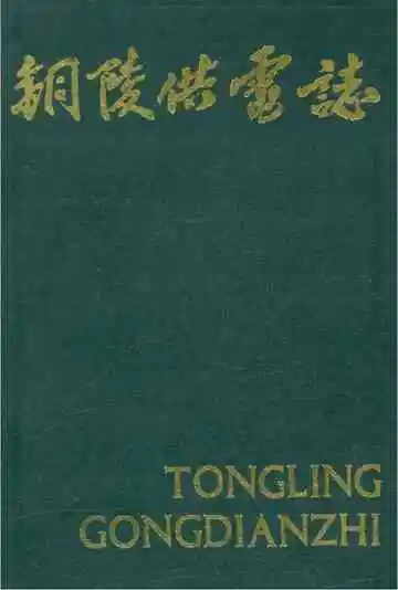 铜陵供电志