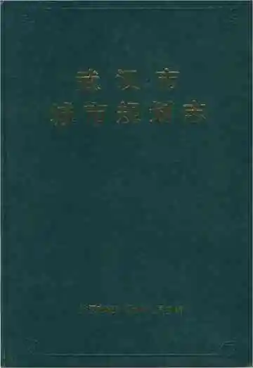 武汉市城市规划志