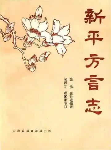 新平方言志