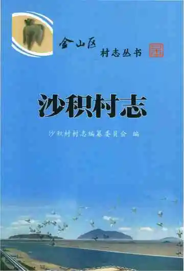 沙积村志