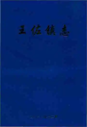 王佐镇志