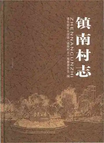 镇南村志