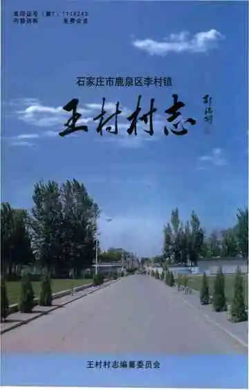 王村村志