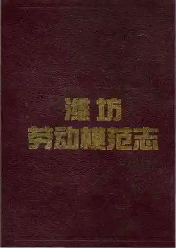 潍坊劳动模范志