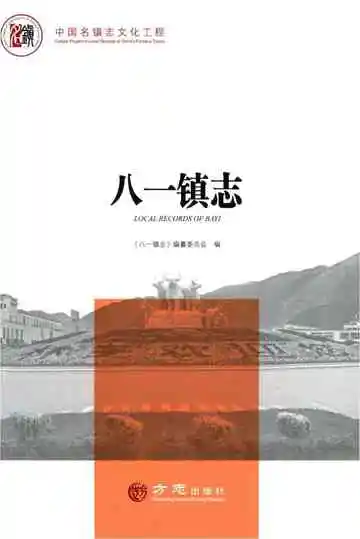 八一镇志