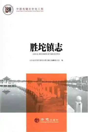 胜坨镇志