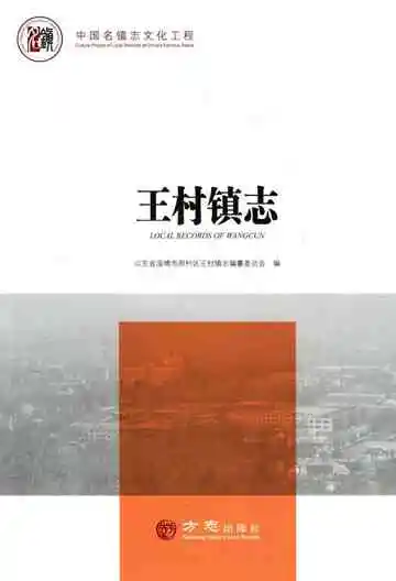 王村镇志