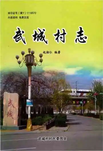 武城村志