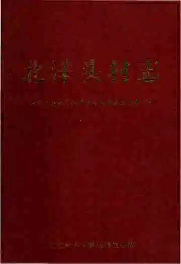 北洋头村志