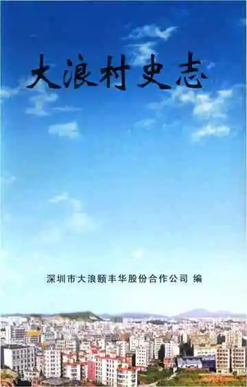 大浪村史志