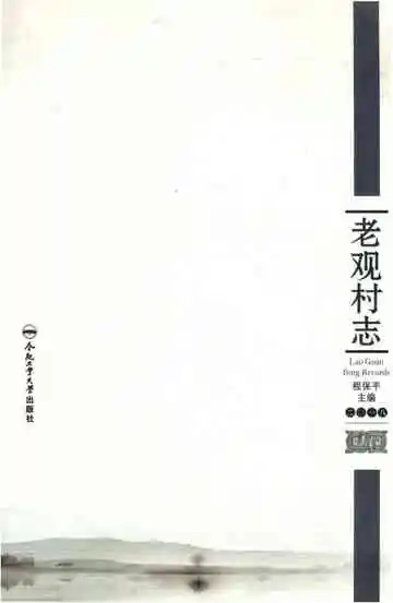 老观村志