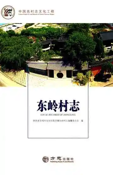 东岭村志