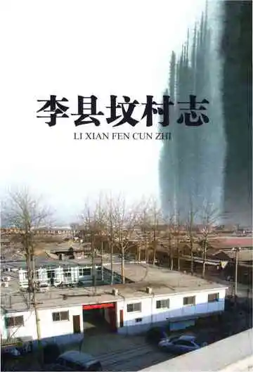李县坟村志
