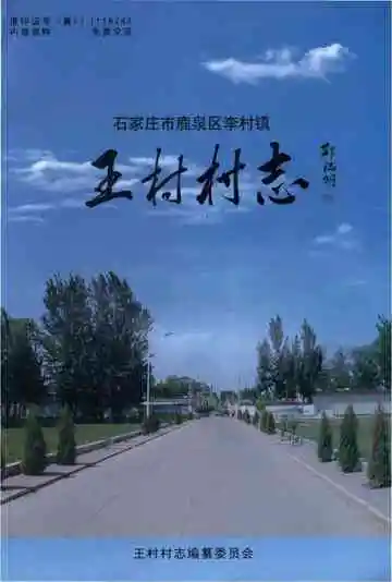王村村志
