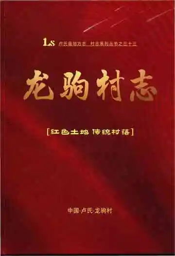 龙驹村志