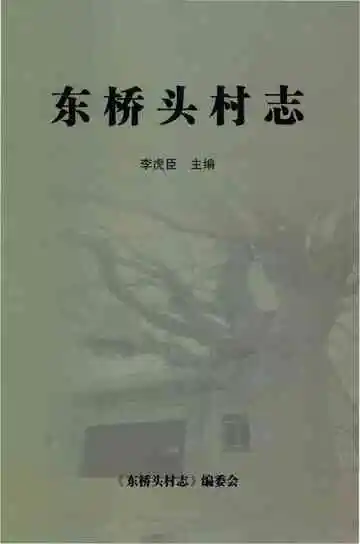 东桥头村志（芮城）